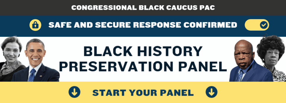 Black History Preservation Panel