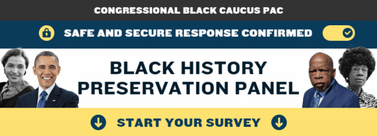 Black History Preservation Panel