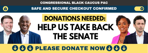DONATIONS NEEDED: HELP US TAKE BACK THE SENATE
